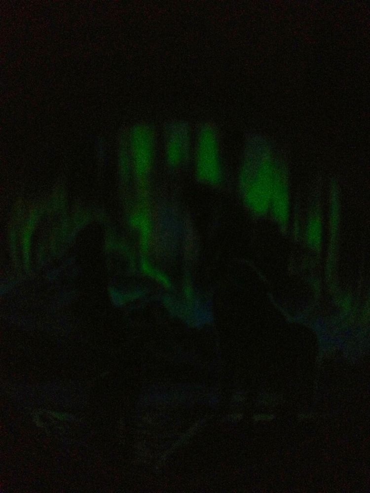 Northern-Lights-In-The-Mountain-Gitd-2-Oz-Wolf-Coin-Sold-Out